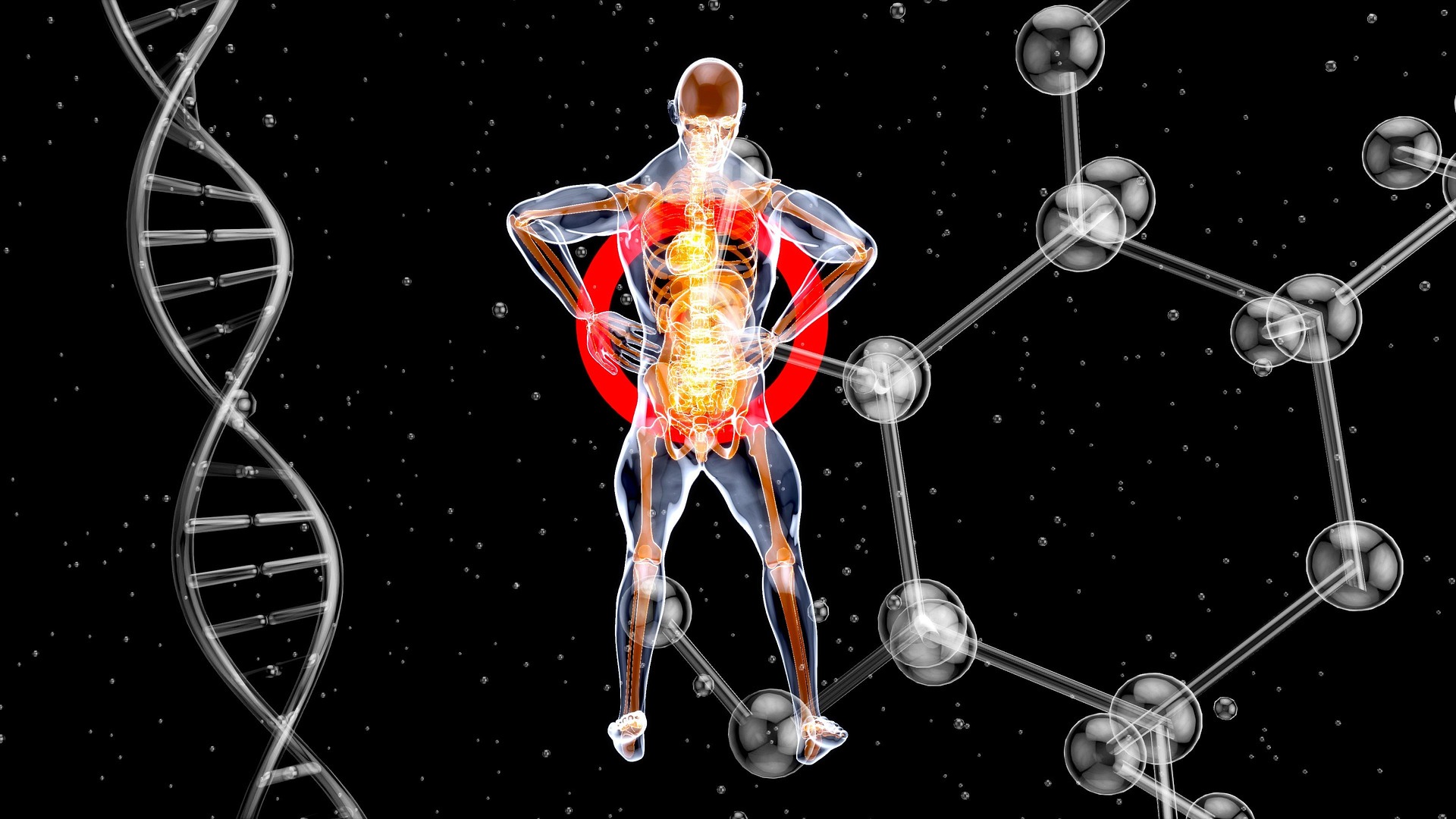 julientromeur anatomy 7156128 1920